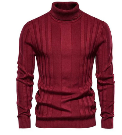 Xavier tröja med turtleneck i smal passform